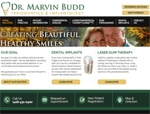 Tablet Screenshot of drbudd.com